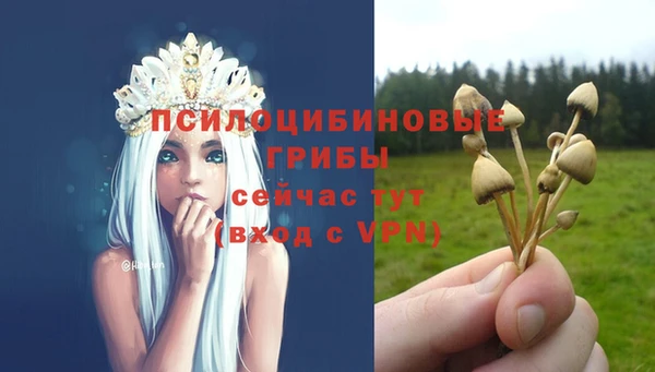 первитин Бугульма
