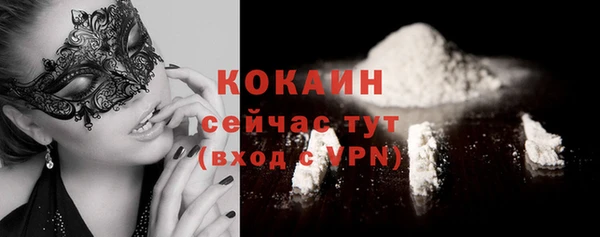 прущие грибы Бородино