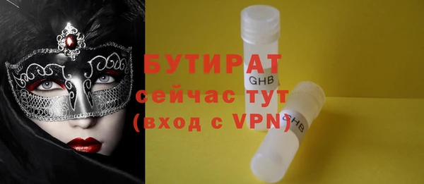 прущие грибы Бородино