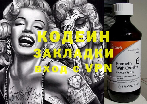 прущие грибы Бородино