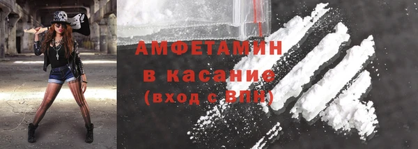 прущие грибы Бородино